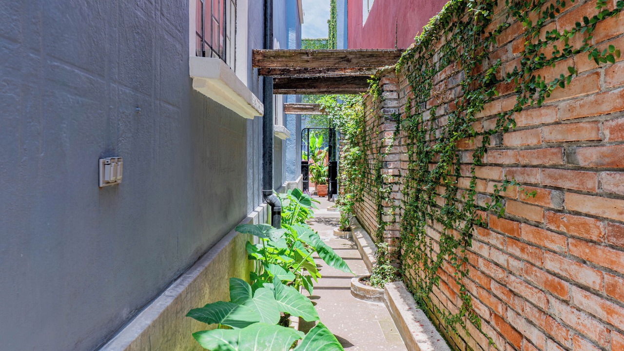 Photo of Outdoor in Historic Centre of Puebla