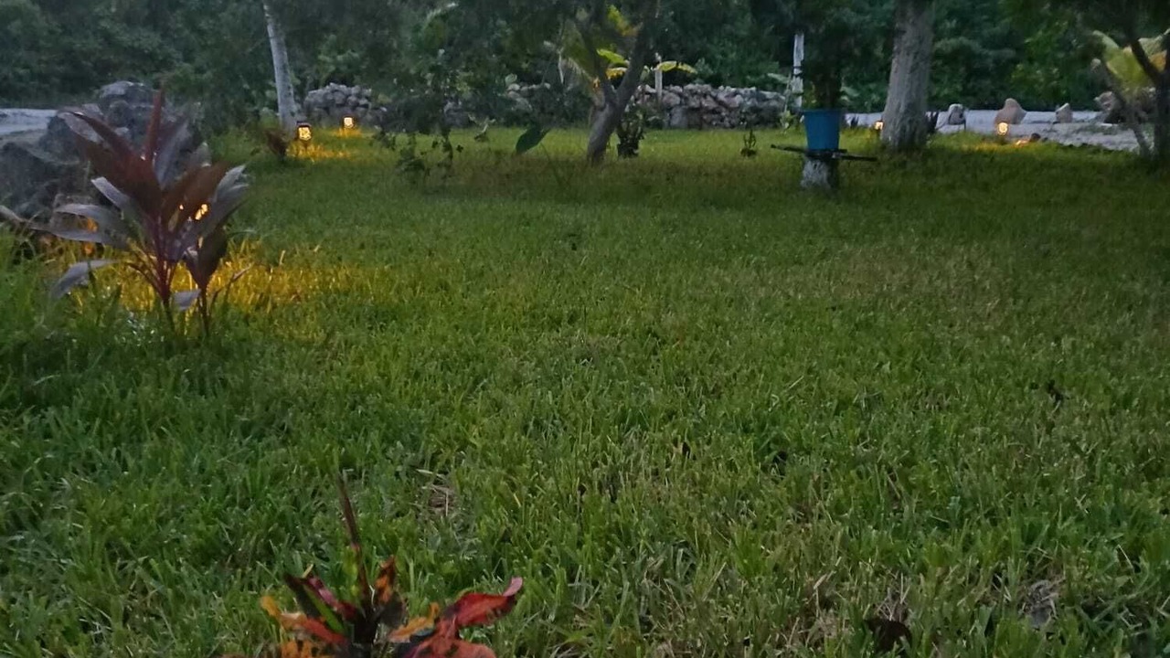 Photo of Outdoor in San Miguel