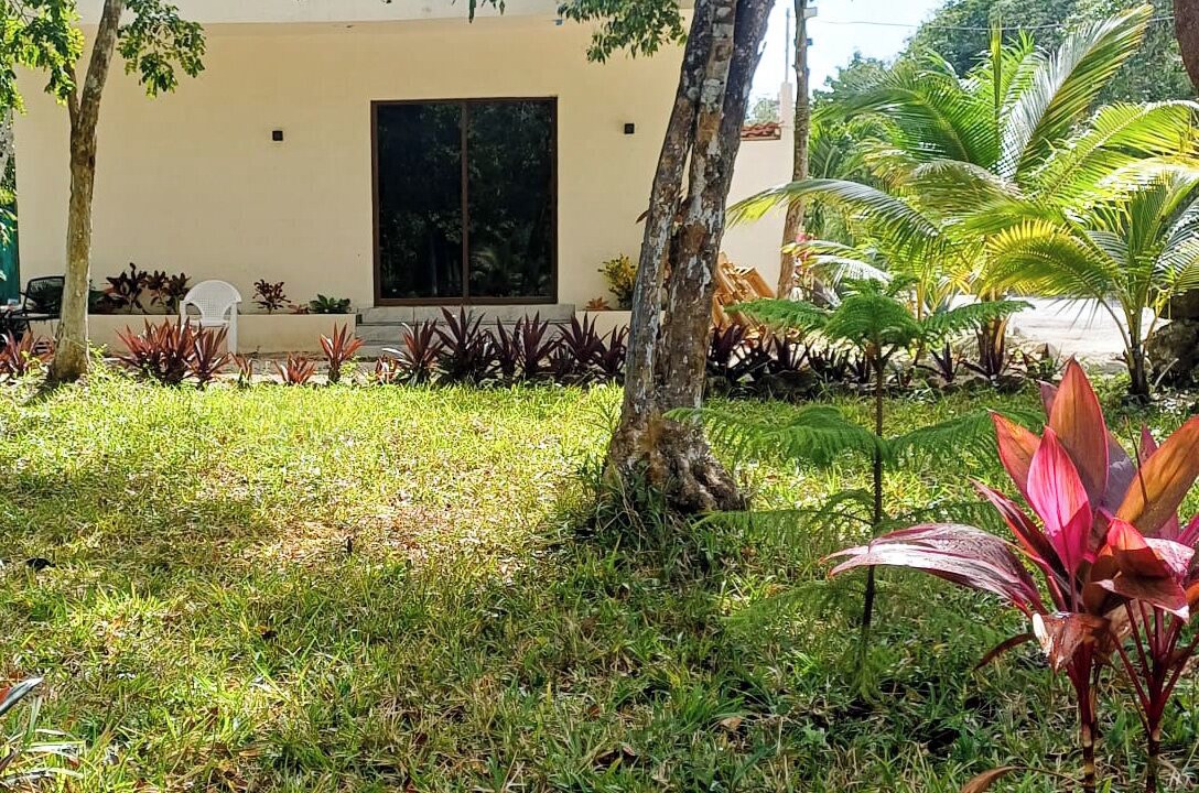 Photo of Outdoor in San Miguel