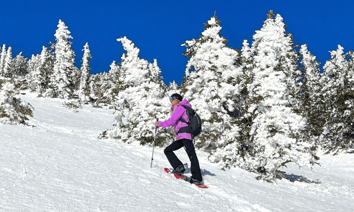 Photo of Outdoor in Flagstaff