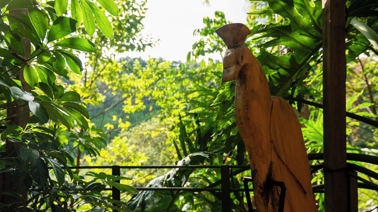 Photo of Outdoor in Uruapan