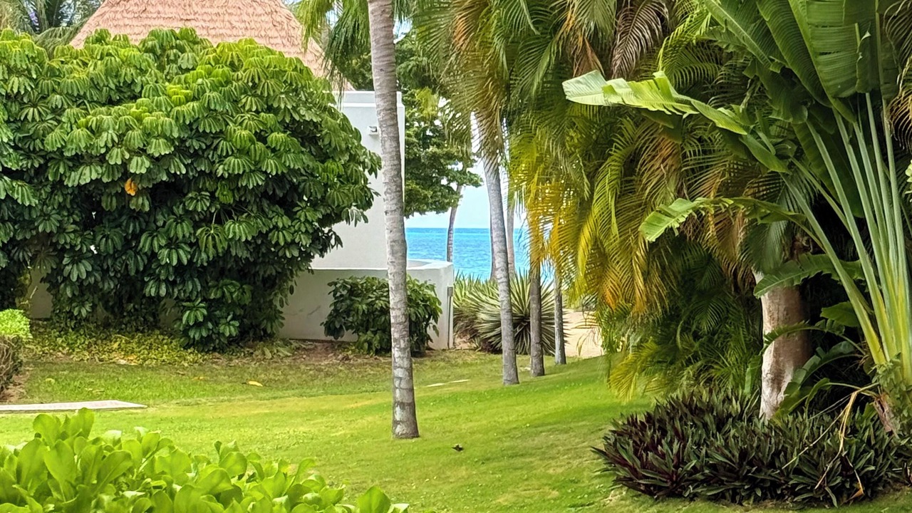 Photo of Outdoor in Costa Maya