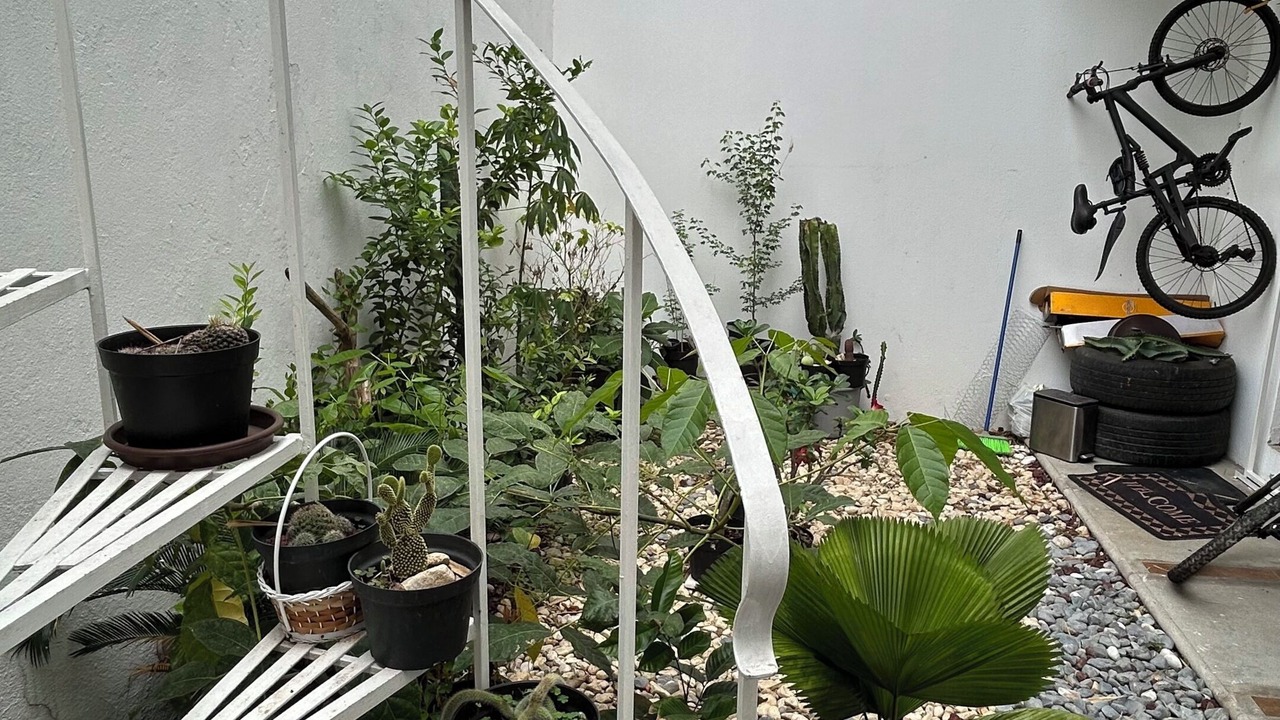Photo of Patio Balcony in Villahermosa