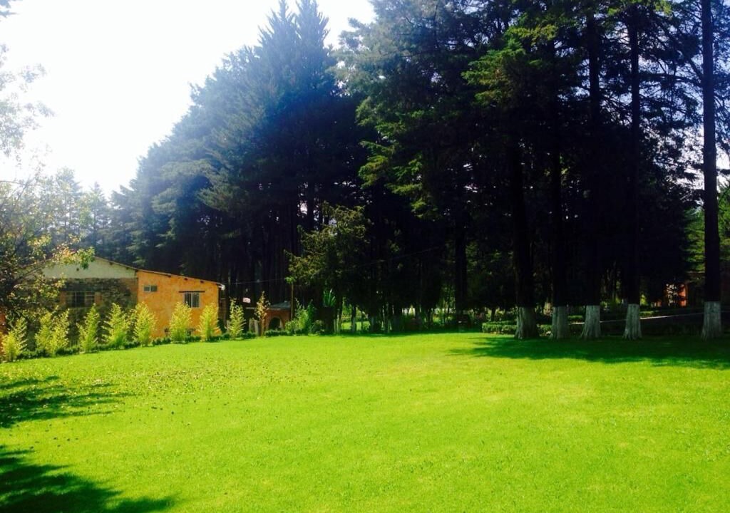 Photo of Outdoor in Pachuca