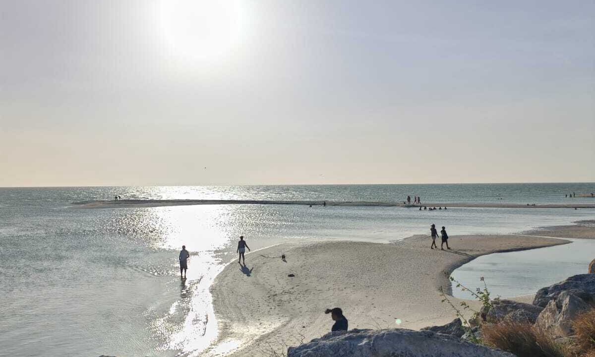 Photo of Others in Chuburna Puerto