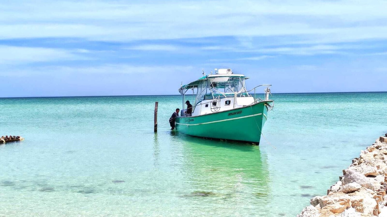 Photo of Others in Chuburna Puerto