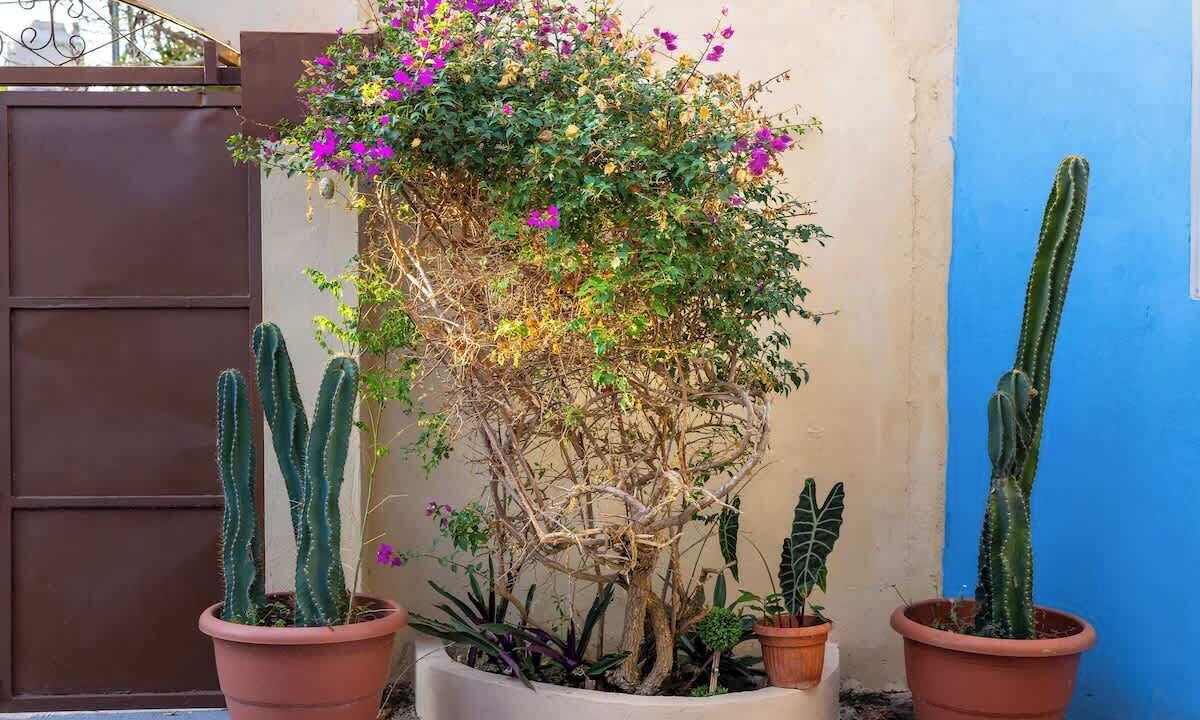 Photo of Outdoor in Montecarlo