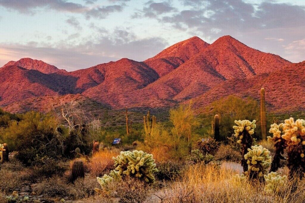 Photo of Others in Mesa