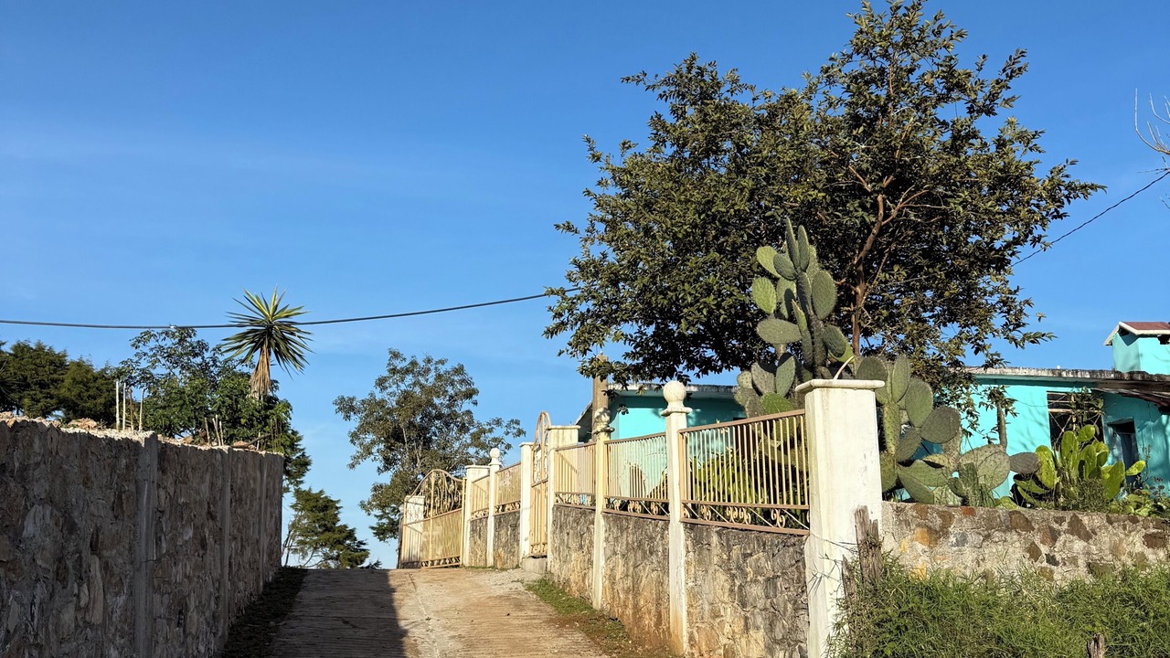 Photo of Outdoor in Juarez Hidalgo