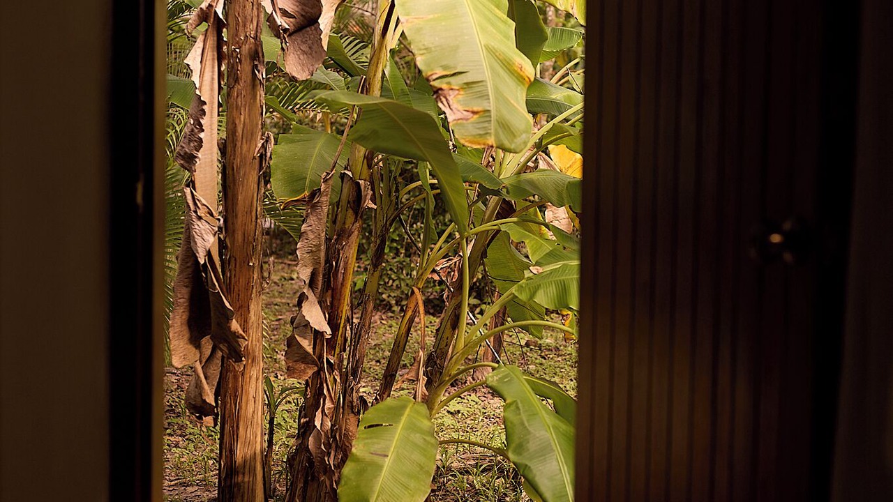 Photo of Others in Palenque