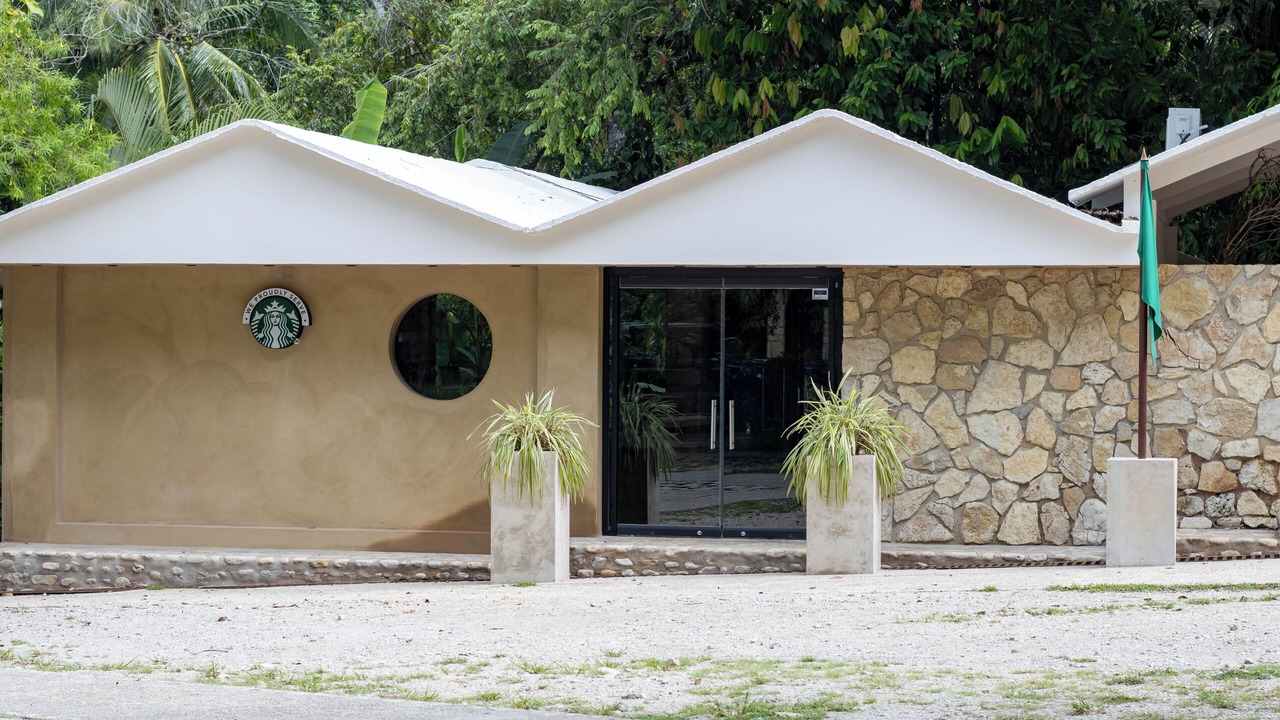 Photo of Outdoor in Palenque