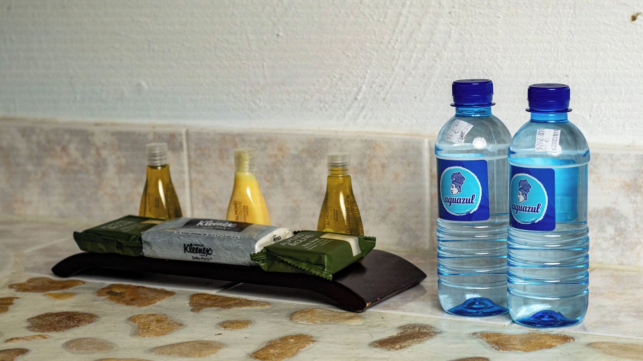 Photo of Bathroom in Palenque