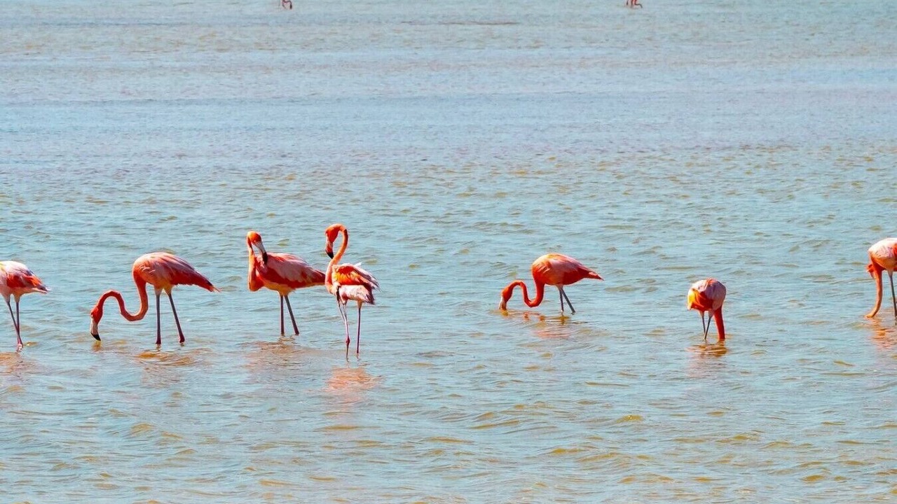 Photo of Others in El Cuyo