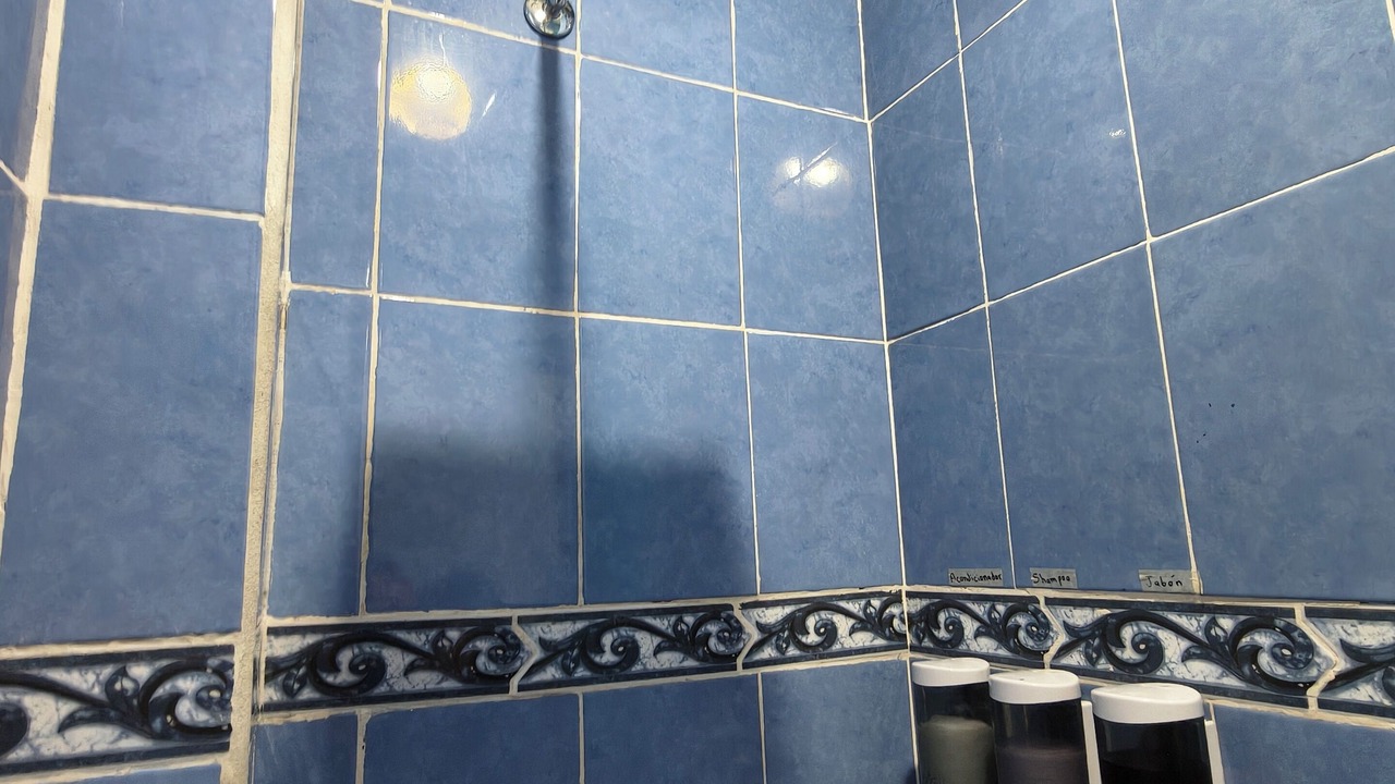 Photo of Bathroom in Lazaro Cardenas