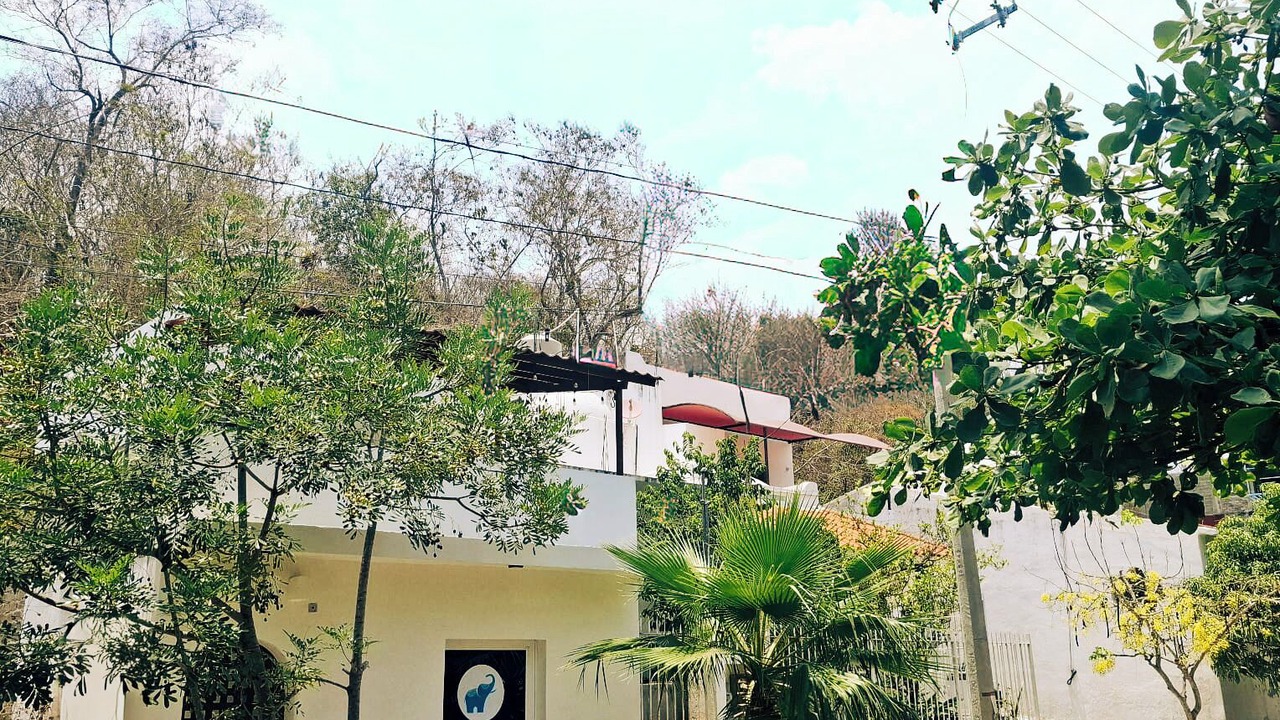 Photo of Others in Crucecita