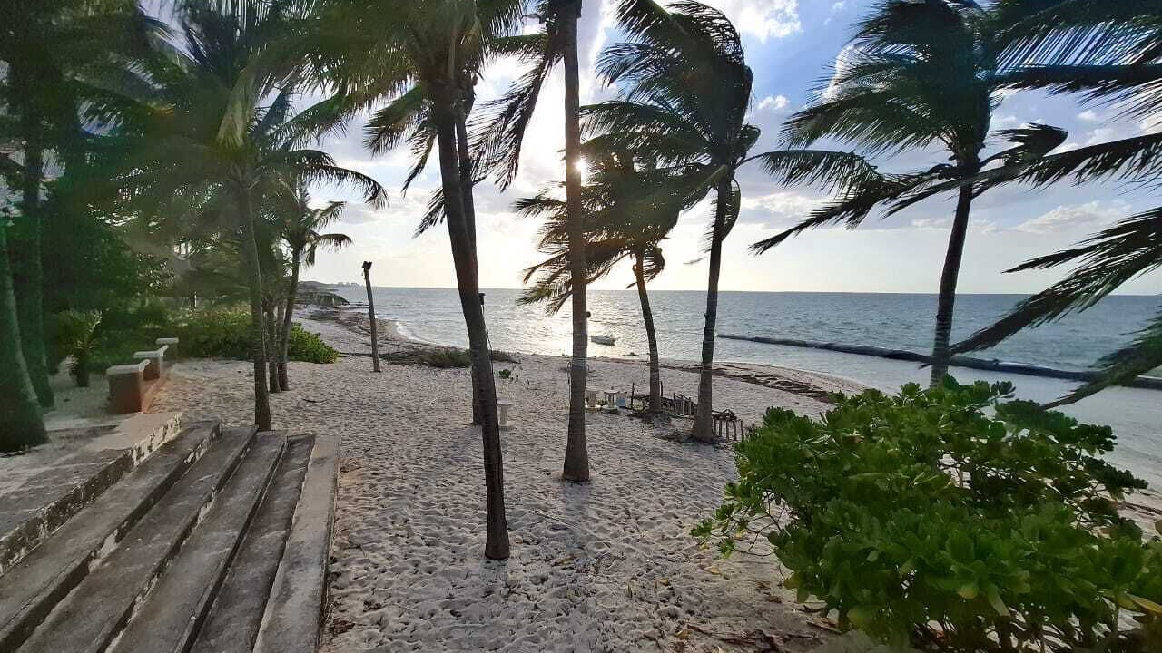 Photo of Others in Chicxulub Puerto