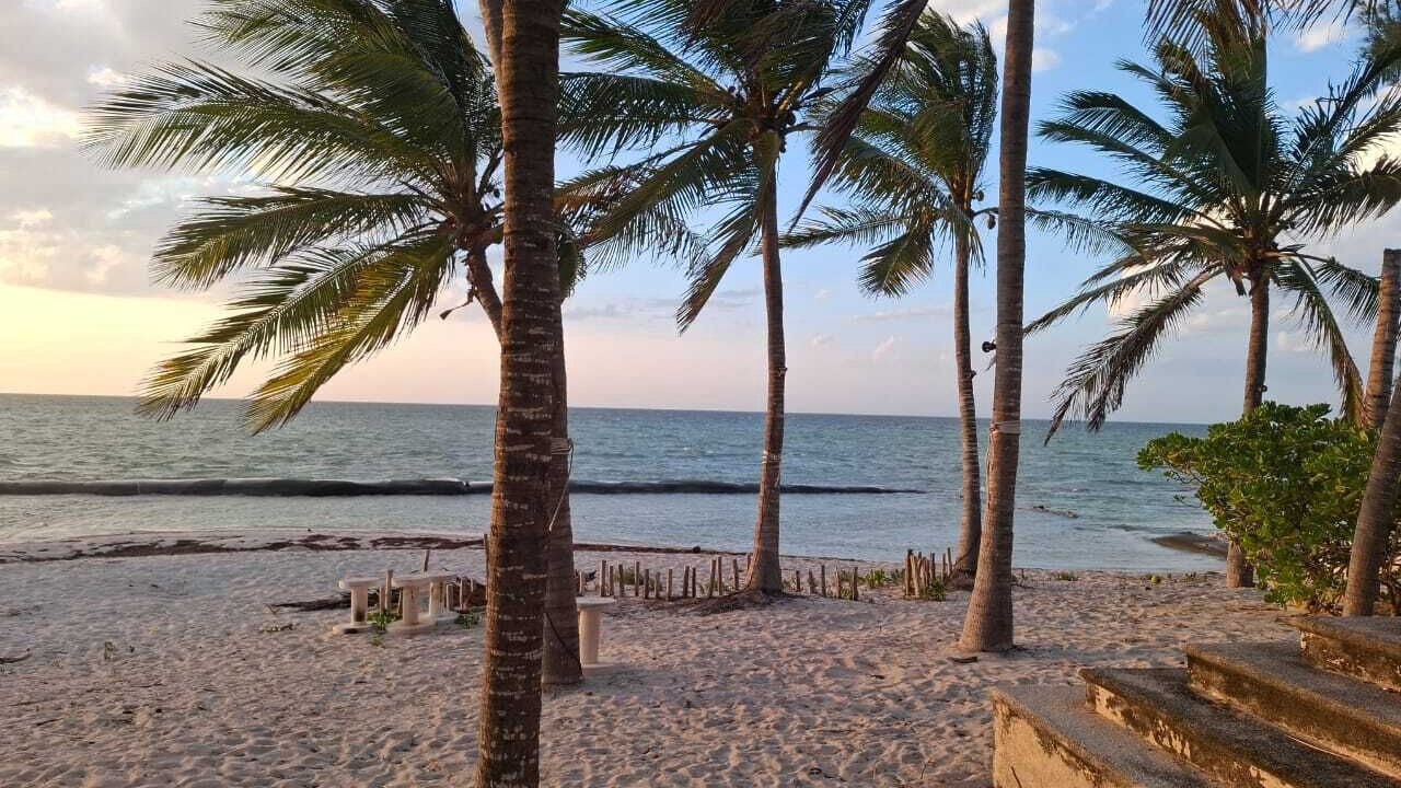 Photo of Others in Chicxulub Puerto