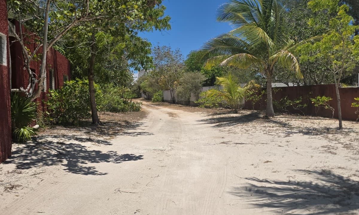 Photo of Others in Chicxulub Puerto