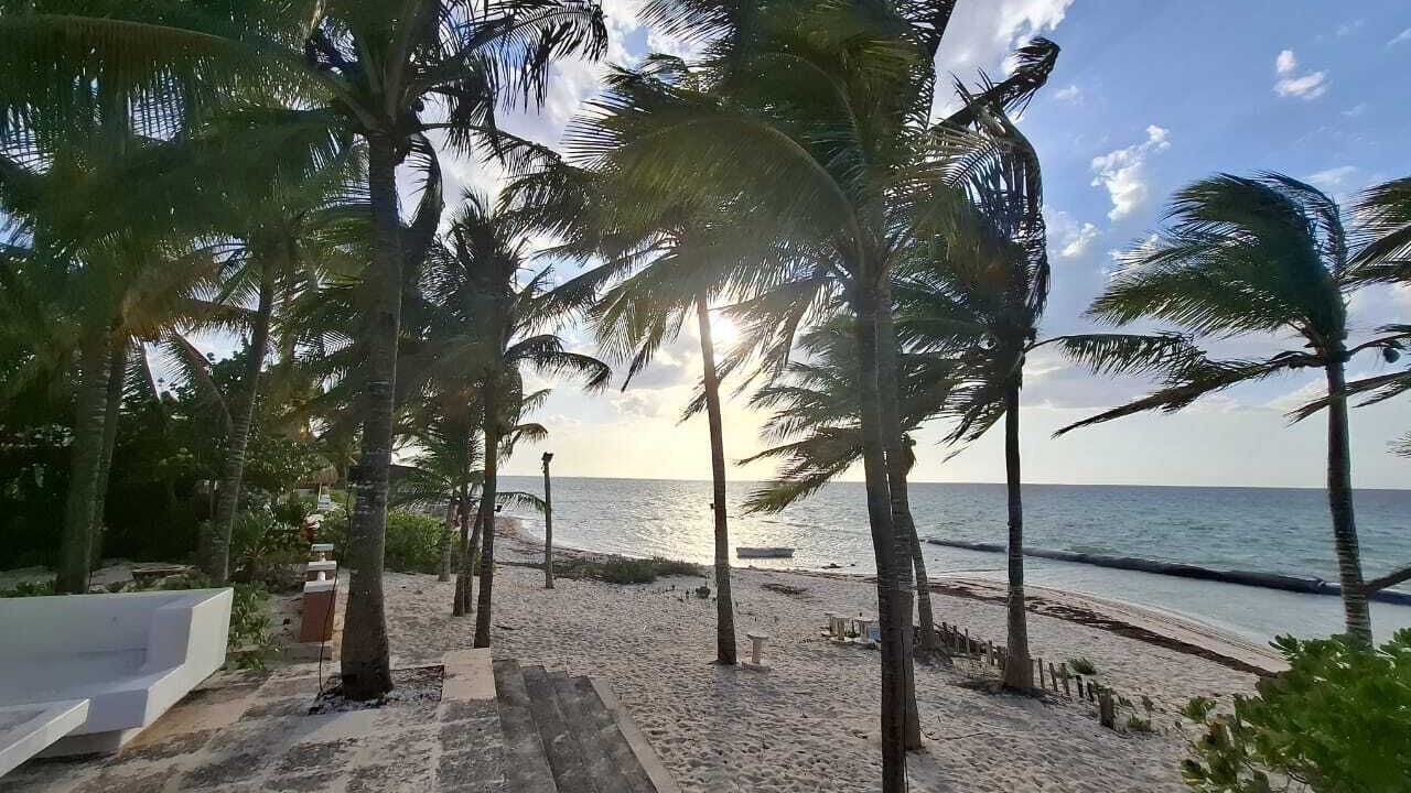 Photo of Others in Chicxulub Puerto
