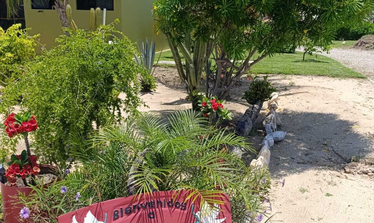 Photo of Outdoor in San Pedro Mixtepec