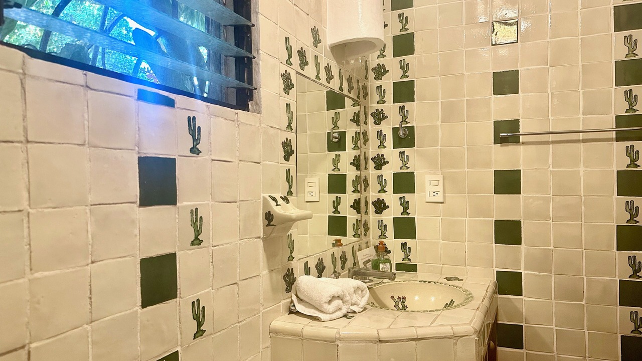 Photo of Bathroom in Hidalgo