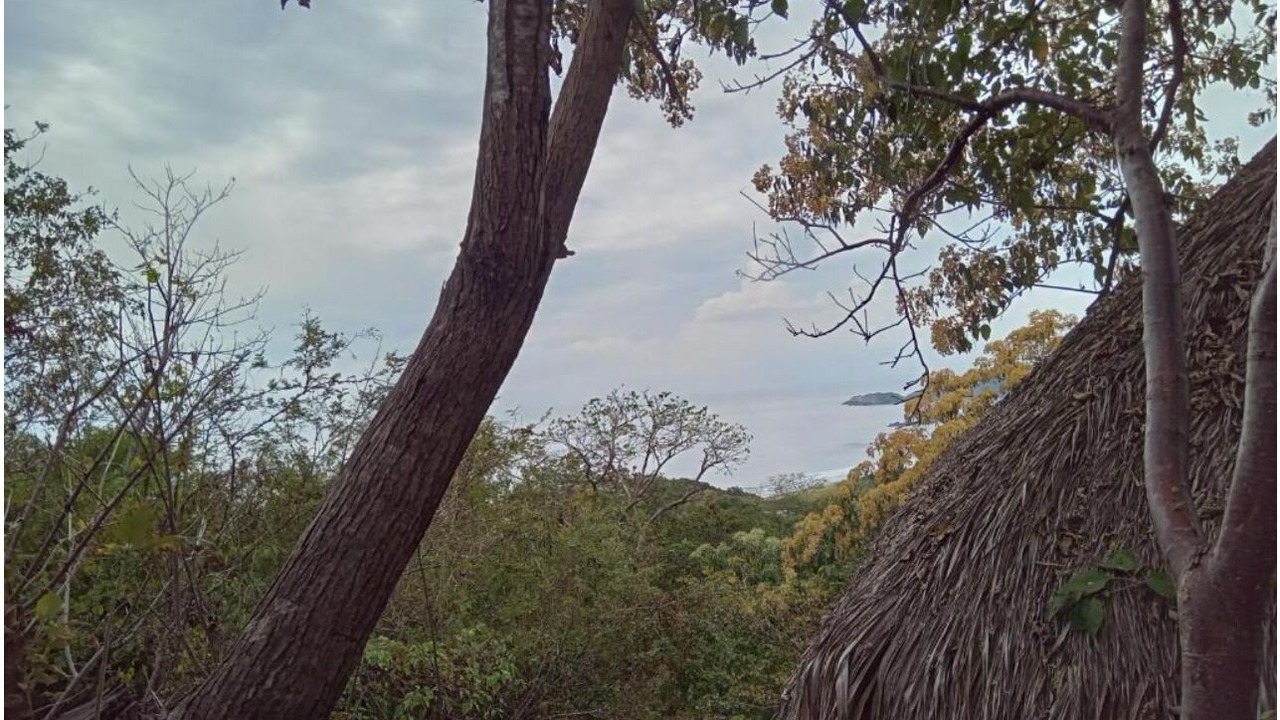 Photo of Others in San Agustinillo