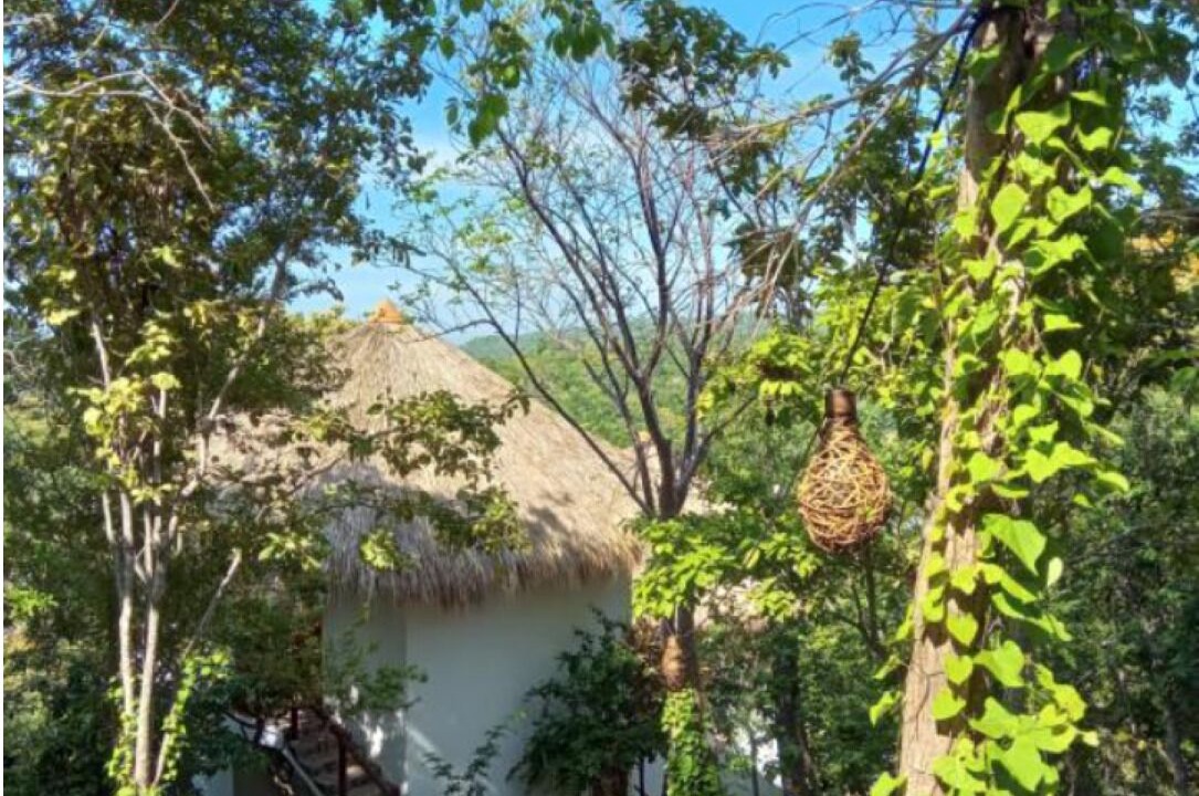 Photo of Outdoor in San Agustinillo