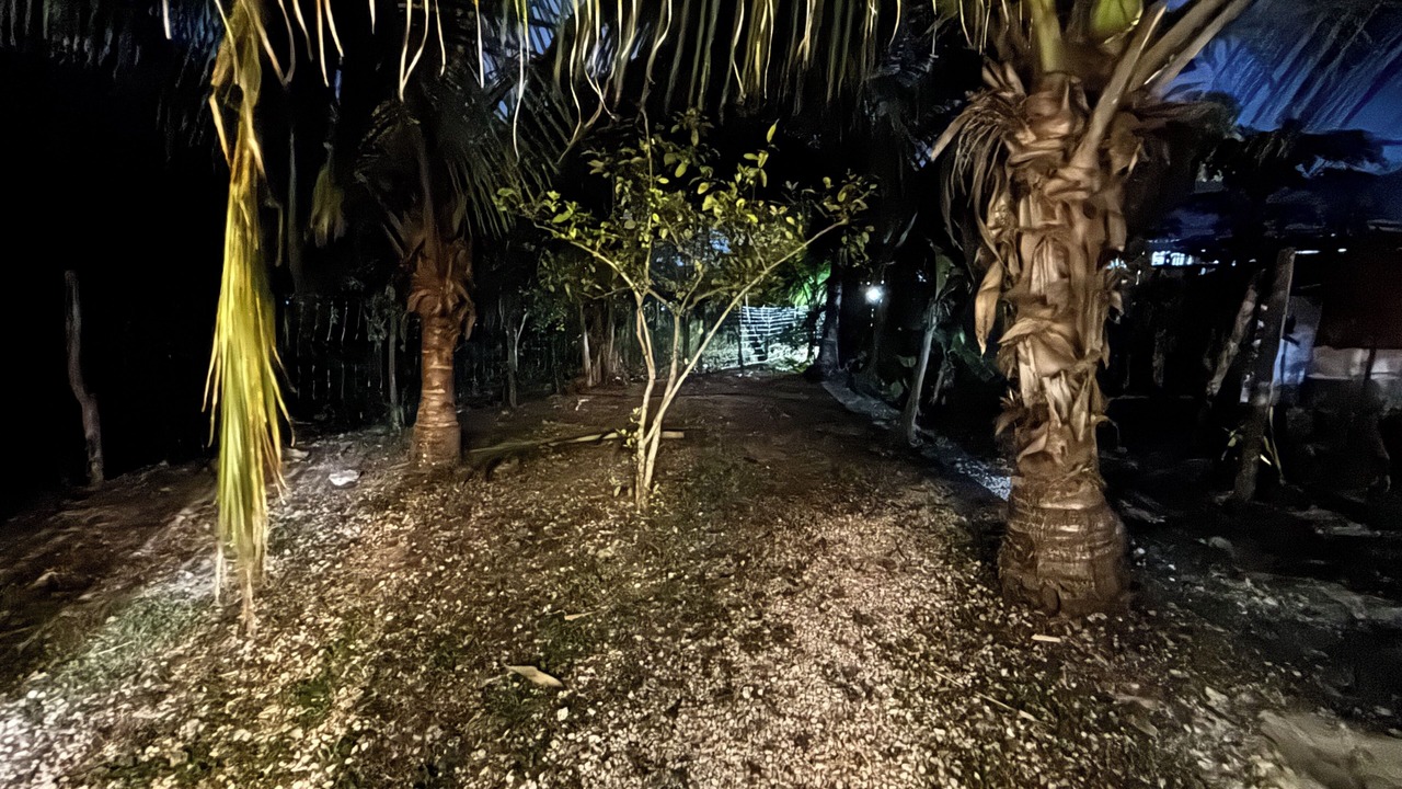 Photo of Outdoor in Puerto Juarez