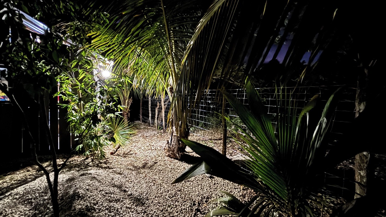 Photo of Outdoor in Puerto Juarez
