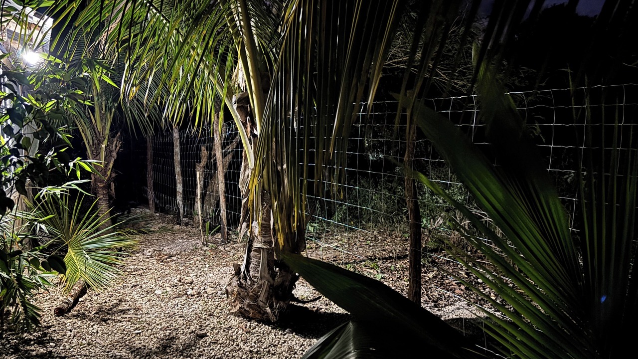 Photo of Outdoor in Puerto Juarez