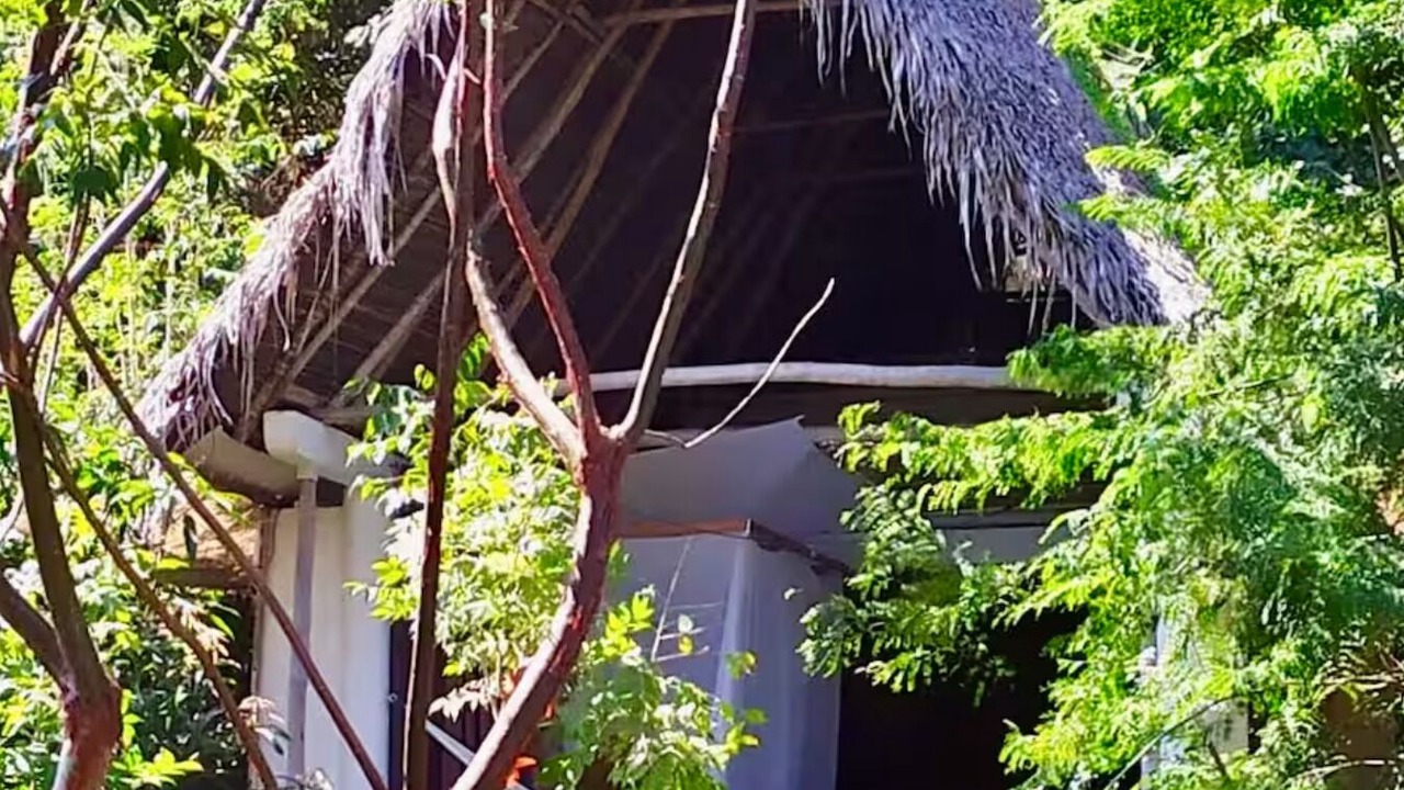Photo of Outdoor in Yelapa