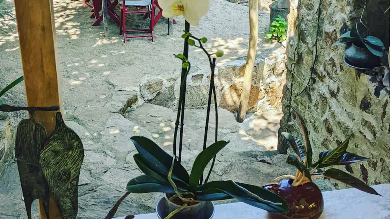 Photo of Outdoor in Yelapa