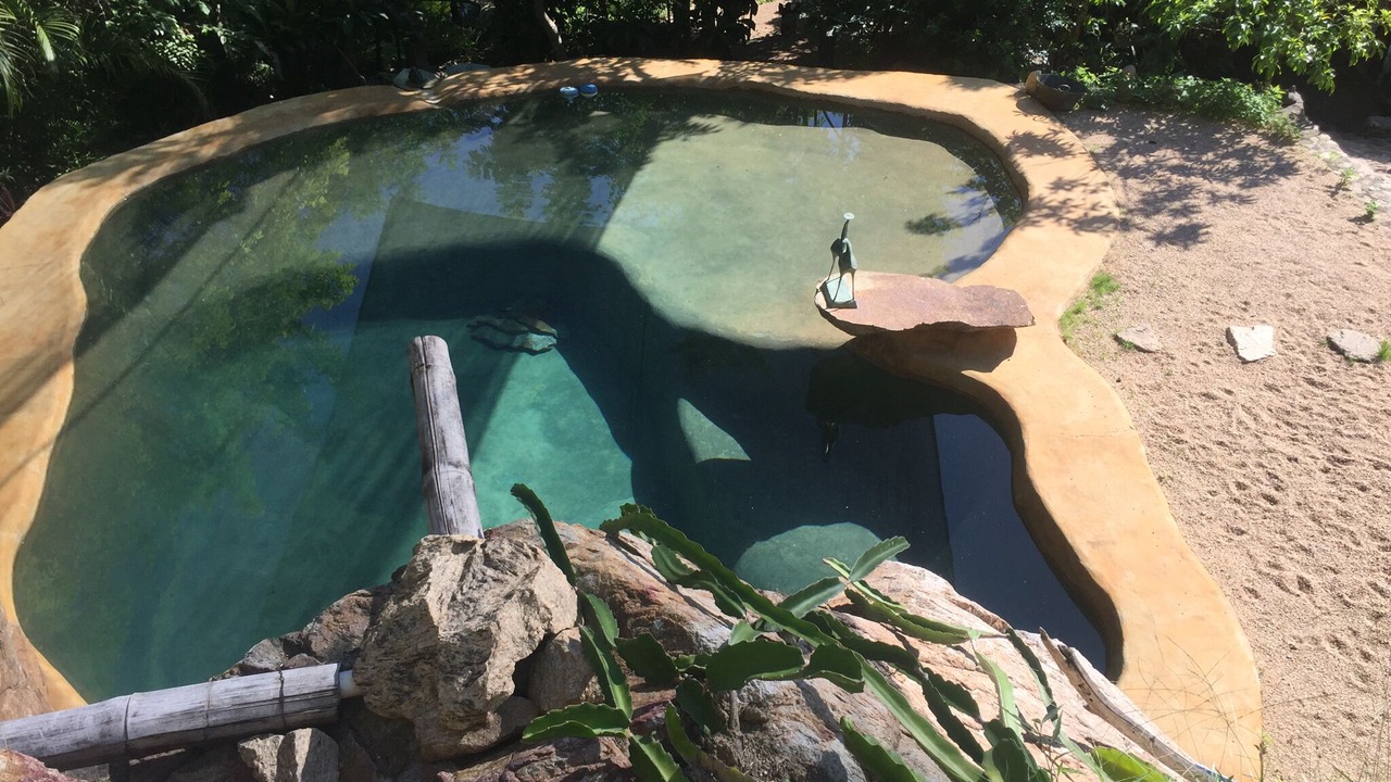 Photo of Outdoor in Yelapa