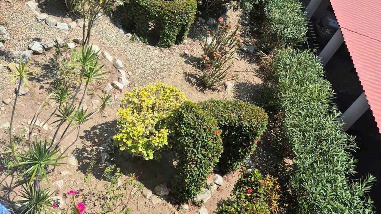 Photo of Outdoor in Hidalgo