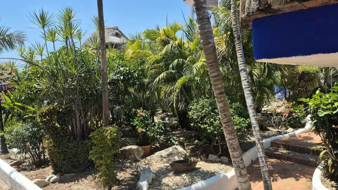 Photo of Outdoor in Hidalgo