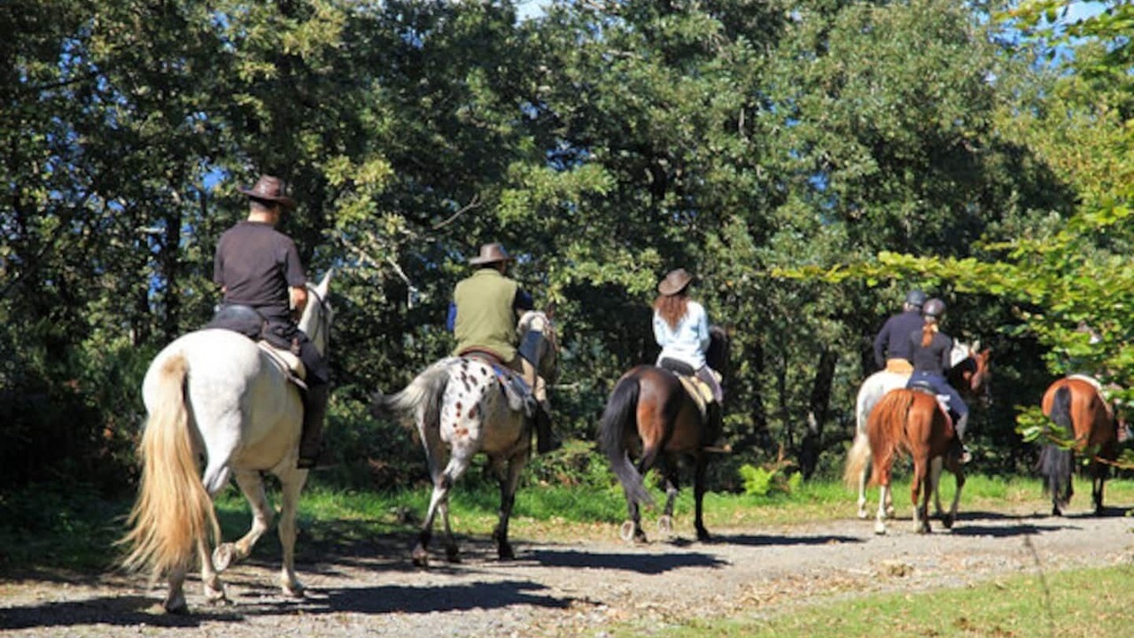 Photo of Others in Mazamitla