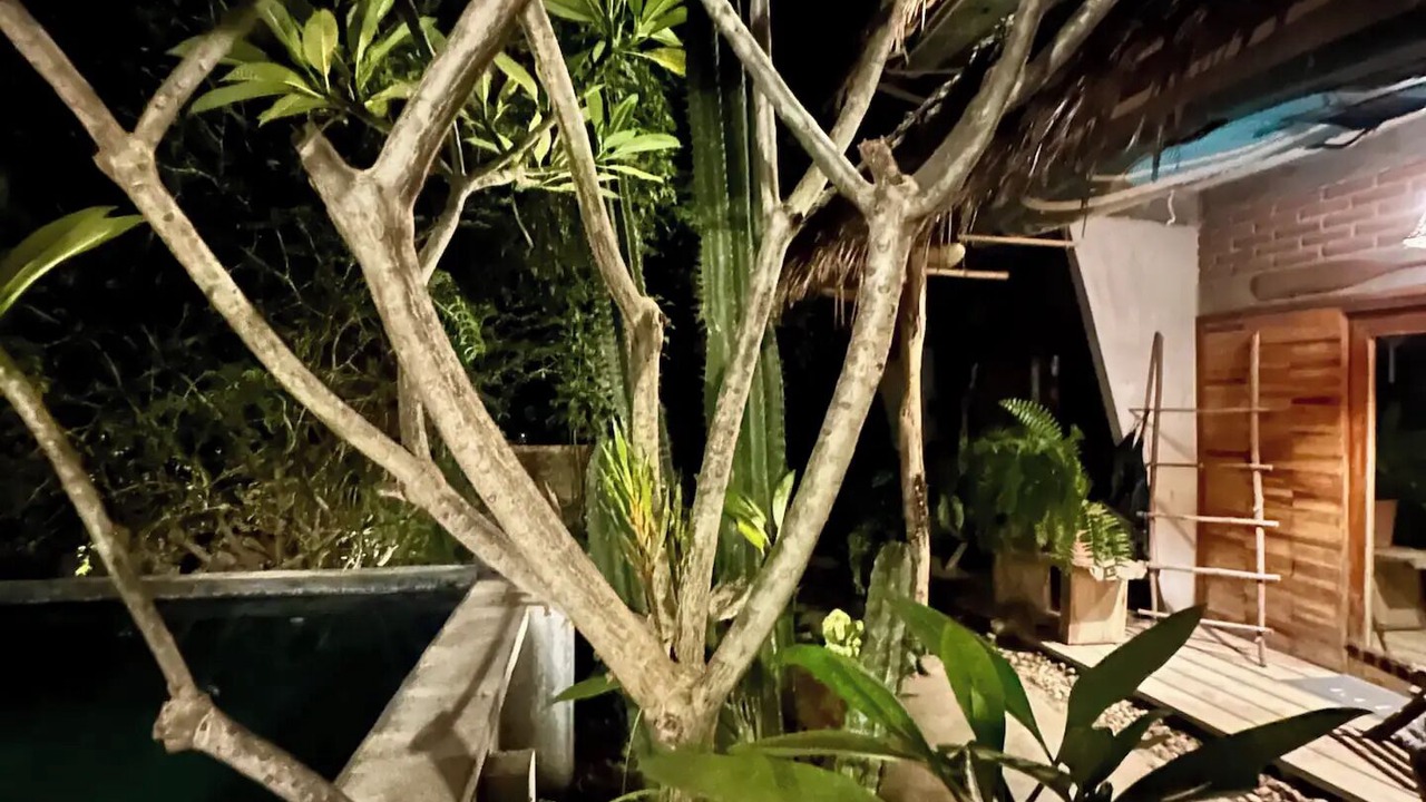 Photo of Outdoor in San Pedro Mixtepec