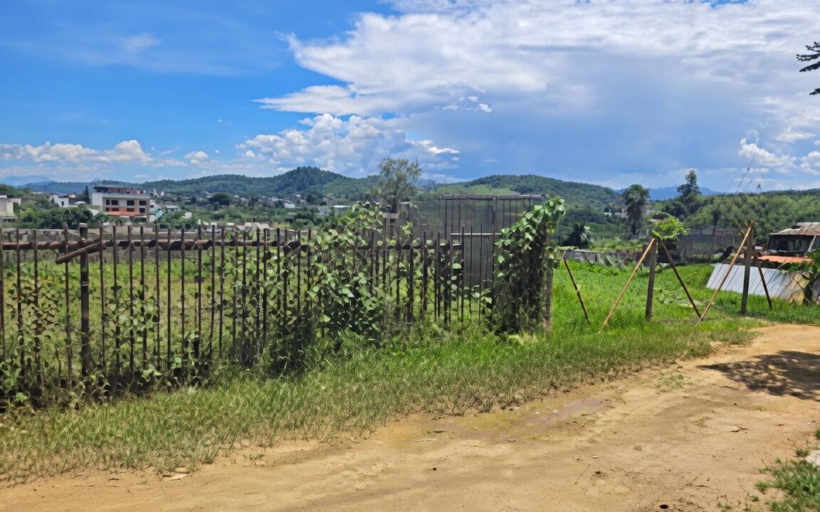 Photo of Outdoor in San Carlos