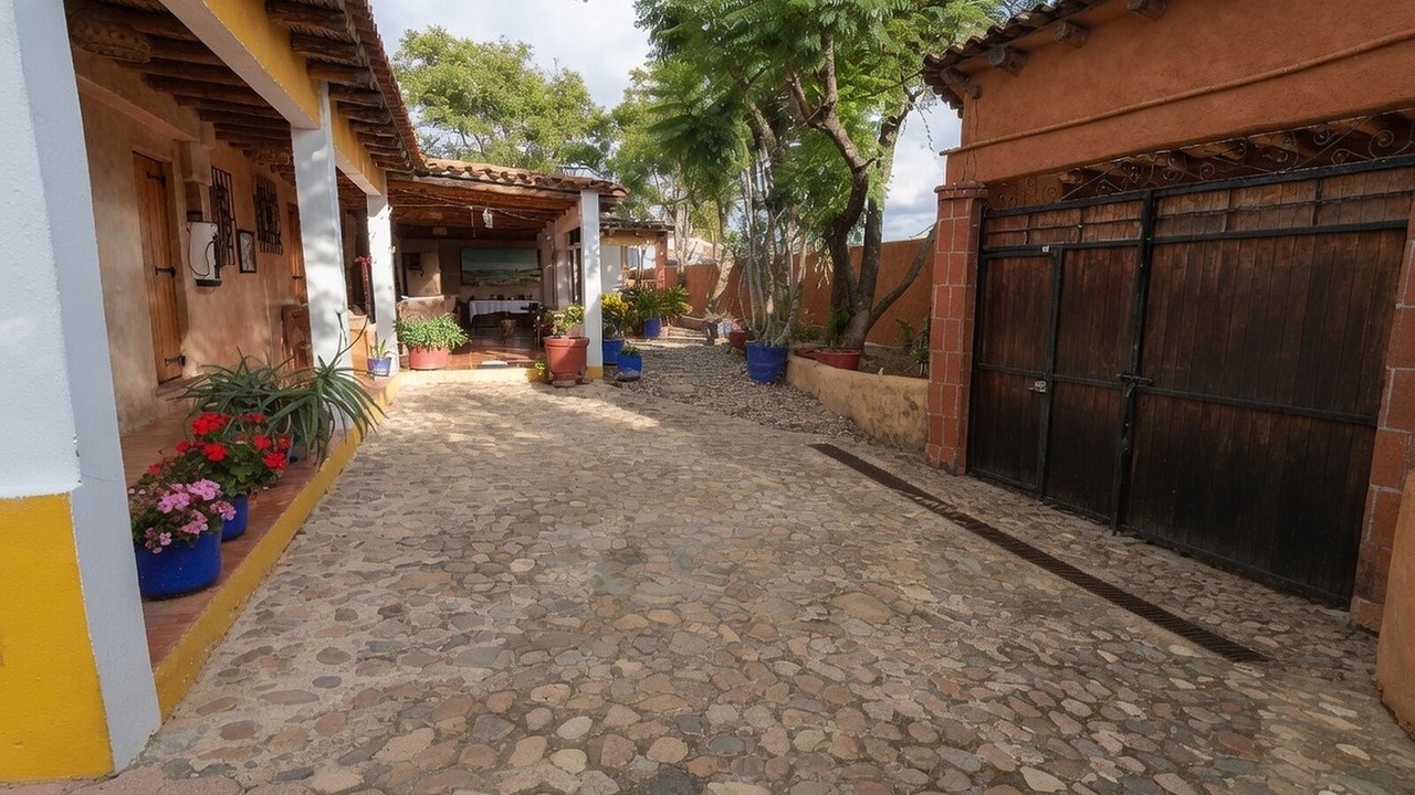 Photo of Outdoor in San Carlos
