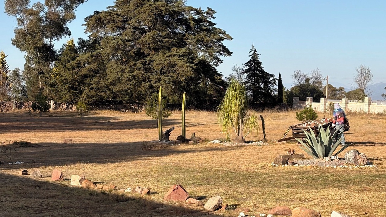 Photo of Outdoor in Amealco