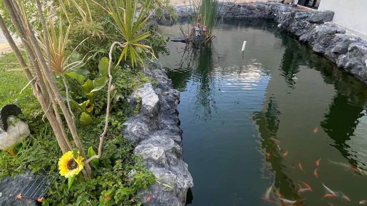 Photo of Outdoor in Merida