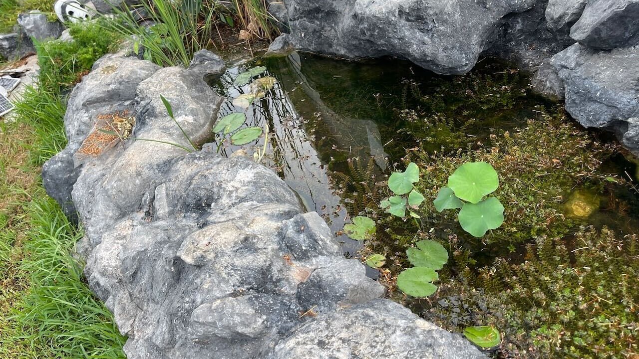 Photo of Outdoor in Merida