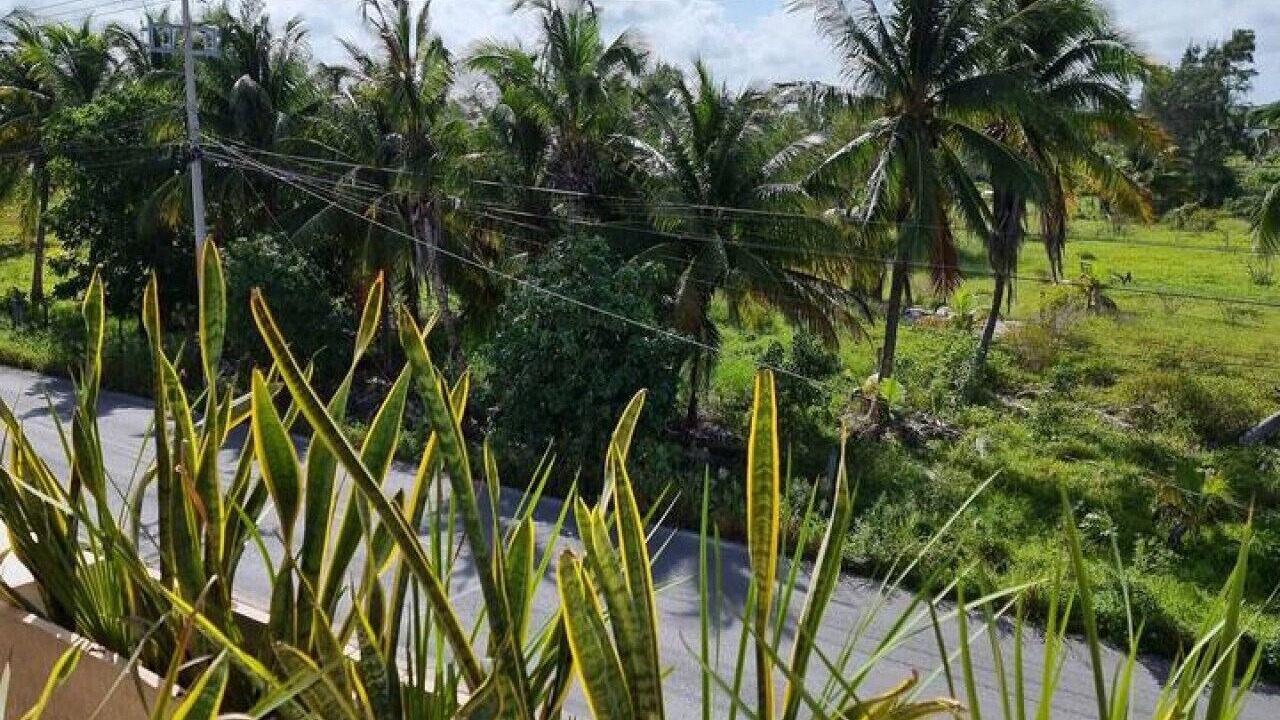 Photo of Outdoor in Telchac Puerto