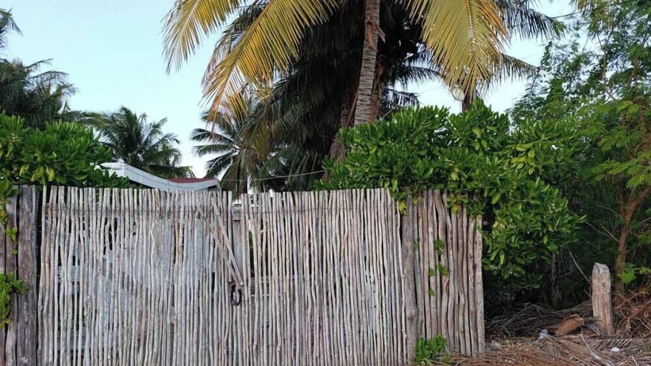 Photo of Outdoor in Telchac Puerto