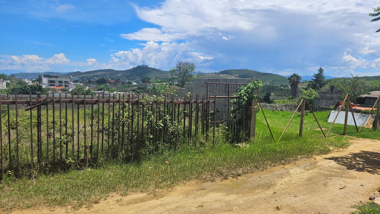Photo of Others in La Chigulera