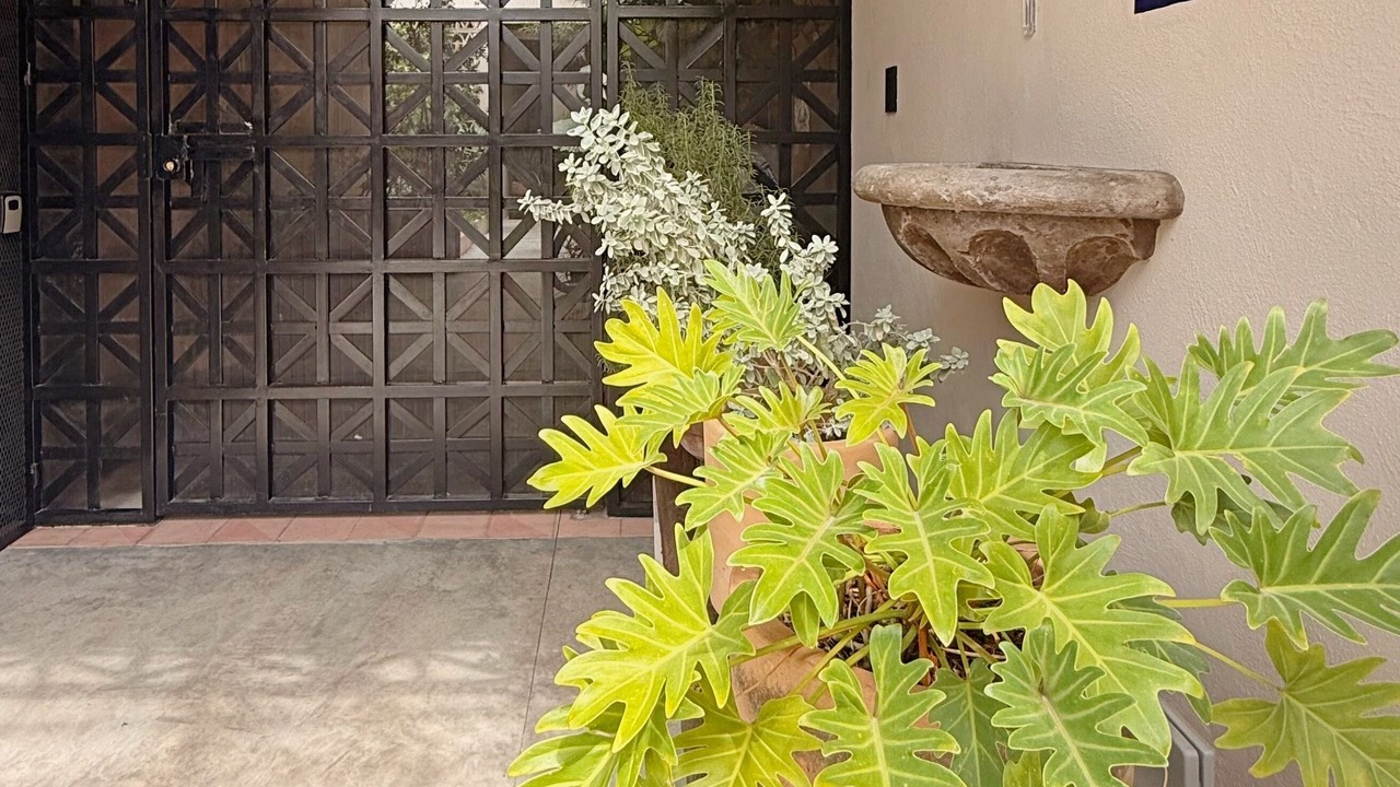 Photo of Outdoor in Santa Teresita