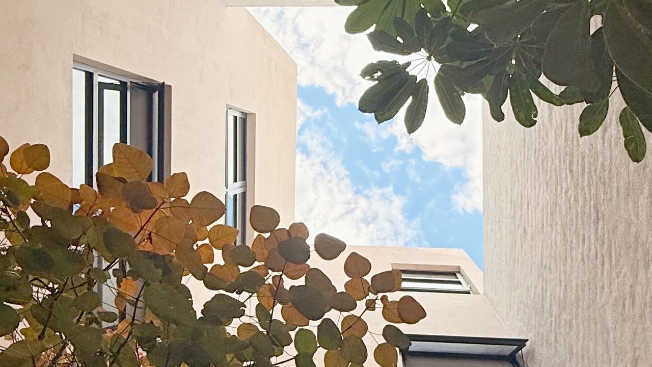 Photo of Outdoor in Santa Teresita