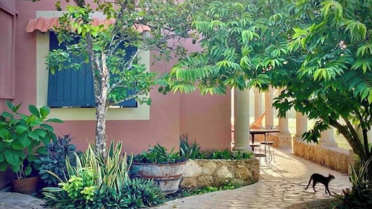 Photo of Outdoor in Conkal