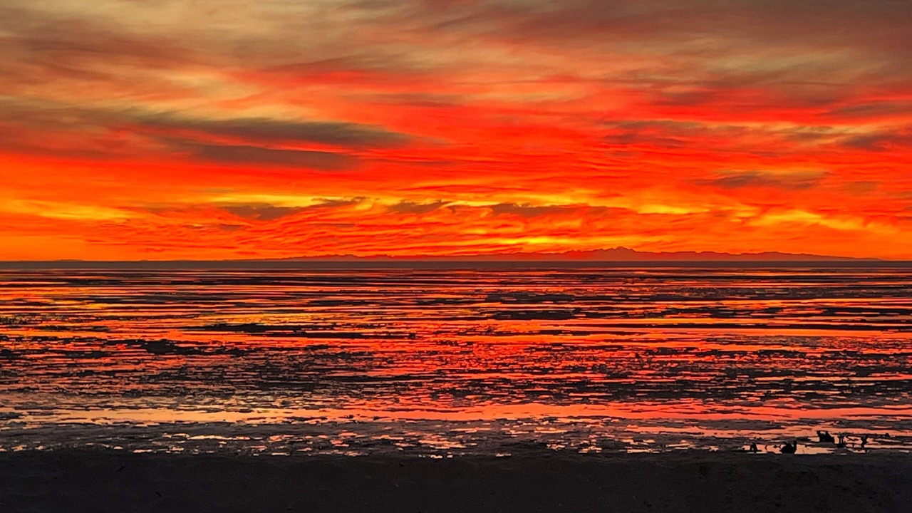 Photo of Others in Laguna Shores