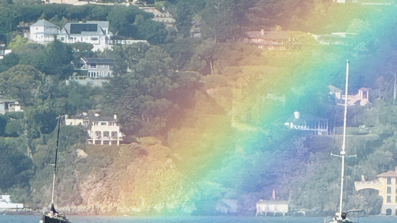 Photo of Others in Sausalito